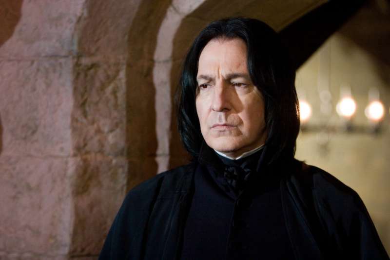 A professor's study of the fictional Hogwarts faculty