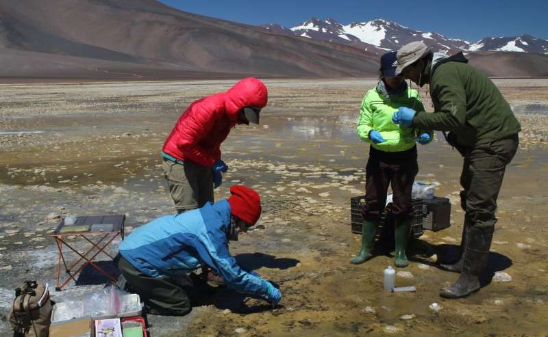 Arsenic and permafrost microbes help hunt for life on Mars