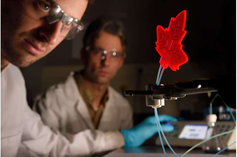 Artificial leaf as mini-factory for medicine