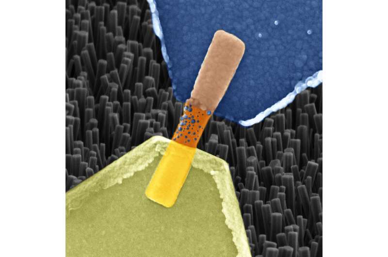 Artificial synapses made from nanowires