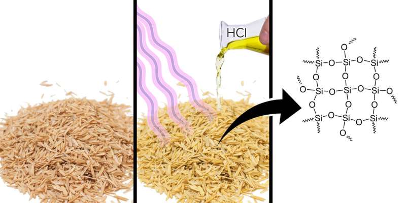 A RUDN Chemist Obtained a Base for Nanocatalyst from Rice Husk
