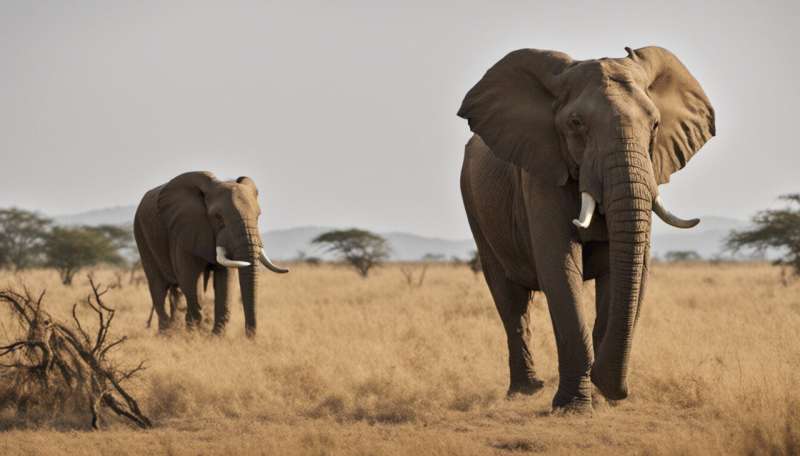 Beyond ivory – championing the neglected victims of illegal wildlife trade