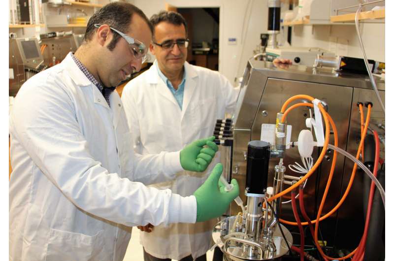 Biofilm reactor promises to cut production costs on vitamin K