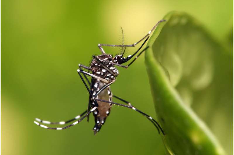 Biomarkers may predict Zika-related birth defects