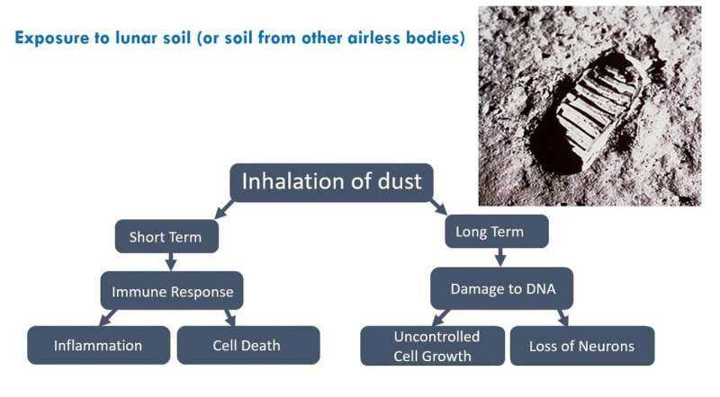 Breathing lunar dust could pose health risk to future astronauts