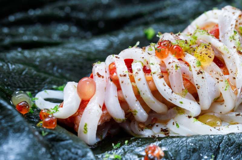Cephalopods could become an important food source in the global community