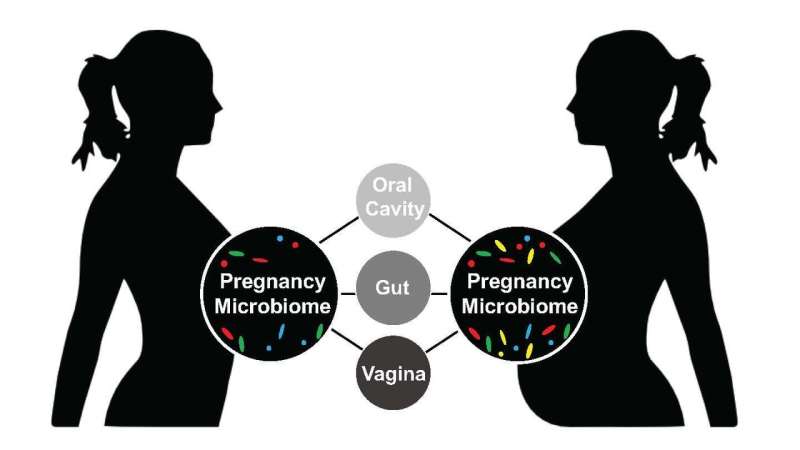Characterization of pregnancy microbiome reveals variations in bacterial diversity