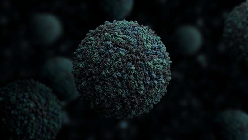 Compound made inside human body stops viruses from replicating