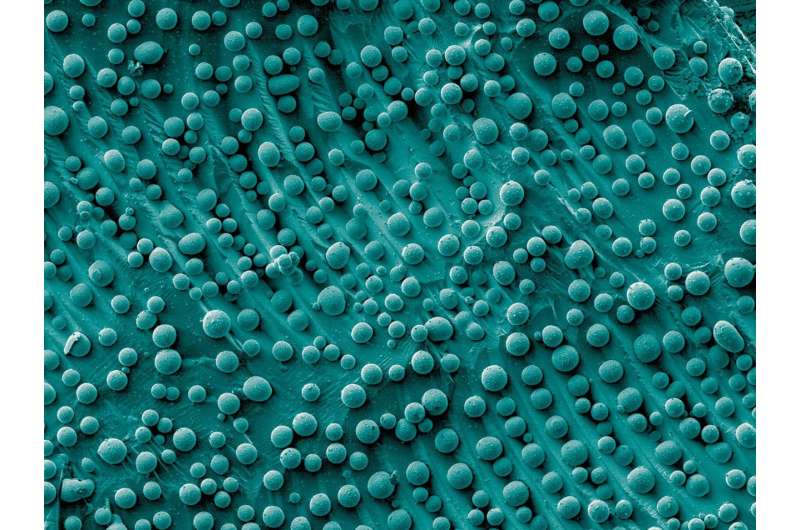 Connecting the (nano) dots: Big-picture thinking can advance nanoparticle manufacturing