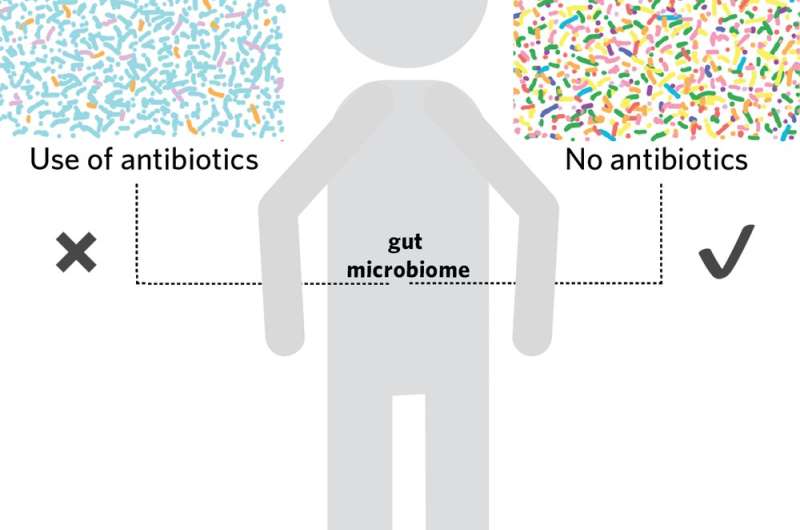 Could your gut microbes hinder your cancer treatment? A new first-in-human trial investigates