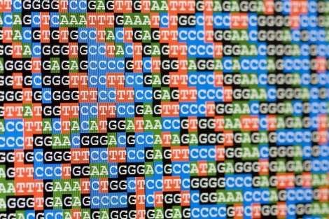 CRISPR-based tool maps gene function in human cells