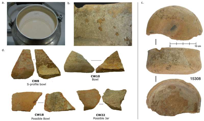 Cuisine of early farmers revealed by analysis of proteins in pottery from &amp;#199;atalh&amp;#246;y&amp;#252;k