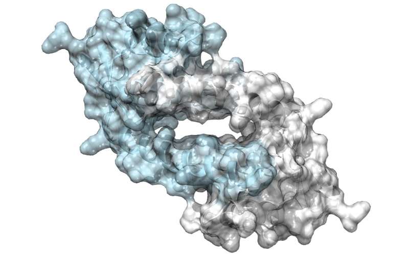 Designer enzyme uses unnatural amino acid for catalysis