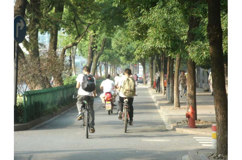 Designing greener streets starts with finding room for bicycles and trees