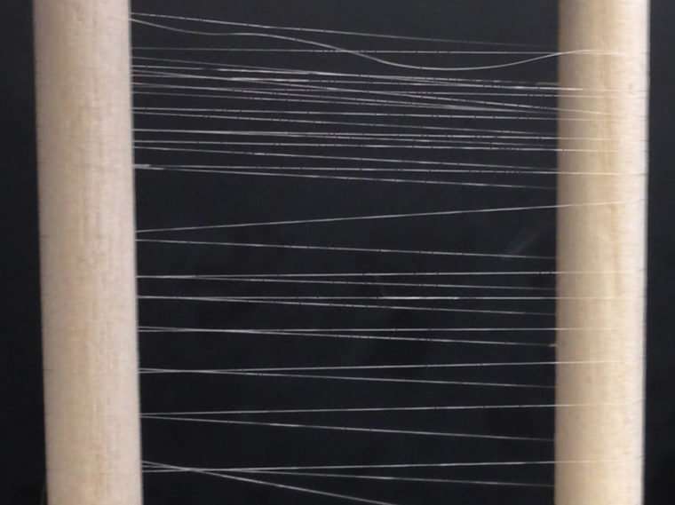 Engineering scientists use bacteria to create biosynthetic silk threads stronger and more tensile than before