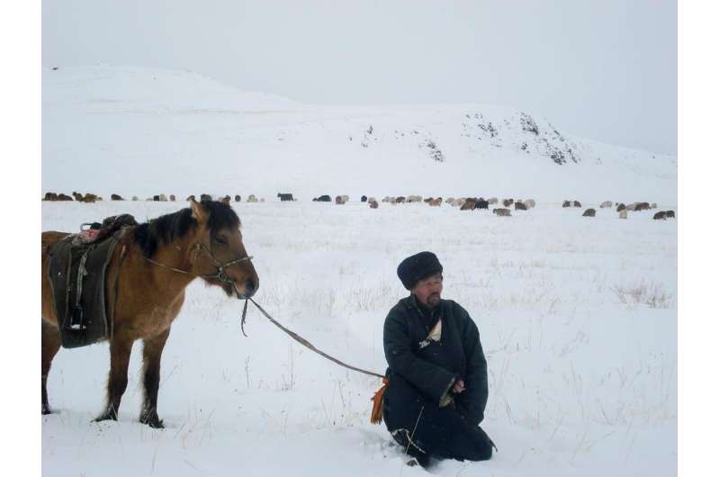 Estimates overstated for Mongolian rangelands damaged by livestock