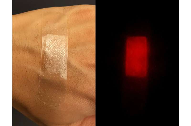 Far-red fluorescent silk can kill harmful bacteria as biomedical and environmental remedy