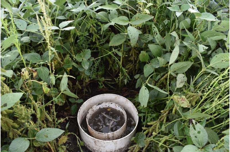 Fertilizers' impact on soil health compared
