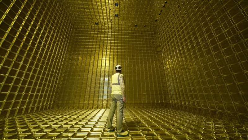 First particle tracks seen in prototype for international neutrino experiment