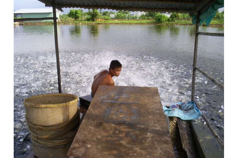 Fish farms are helping to fight hunger