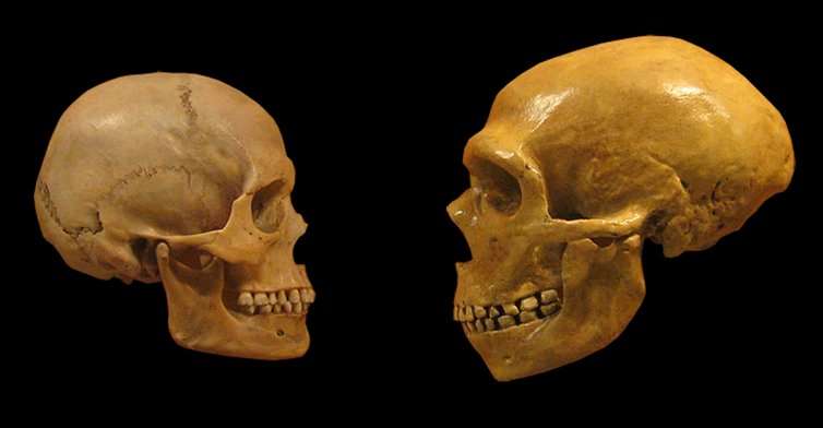 Five surprising things DNA has revealed about our ancestors