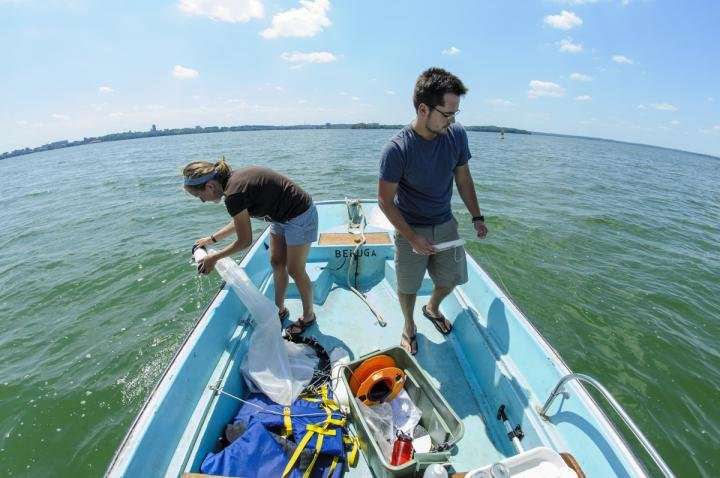 Forget 'needle in a haystack'; try finding an invasive species in a lake