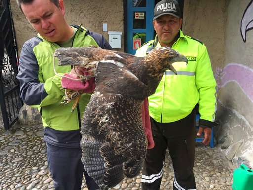 Giant crackdown against wildlife crime in 92 countries
