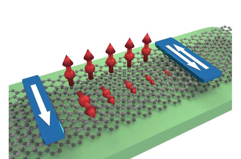 Graphene bilayer provides efficient transport and control of spins