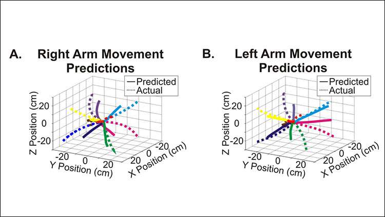 Half the brain encodes both arm movements