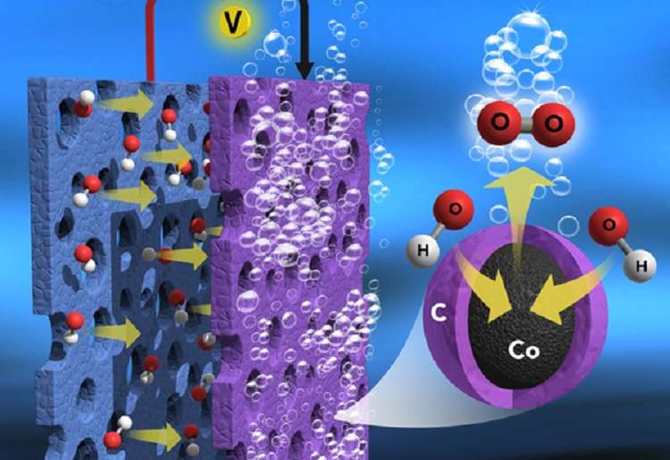 High-efficiency and low-cost catalyst for water electrolysis