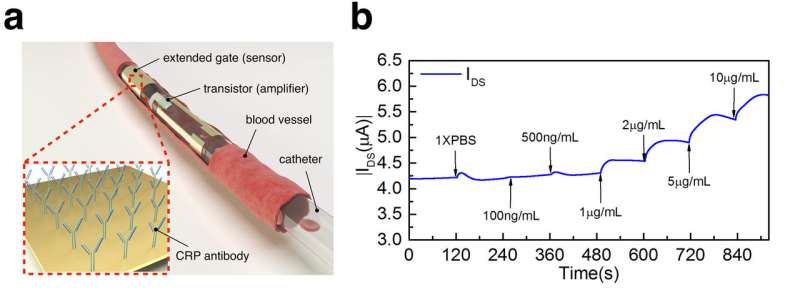 HKU develops an ultra-thin sensor that makes inflammation testing and curing 30 times faster