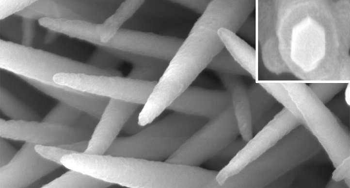 Hybrid nanomaterials bristle with potential