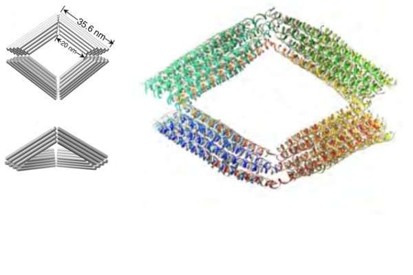 Imaging individual flexible DNA 'building blocks' in 3-D