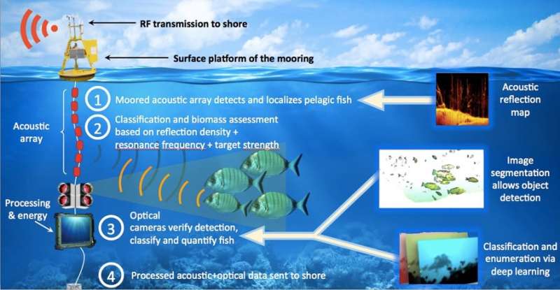 Innovative autonomous system for identifying schools of fish