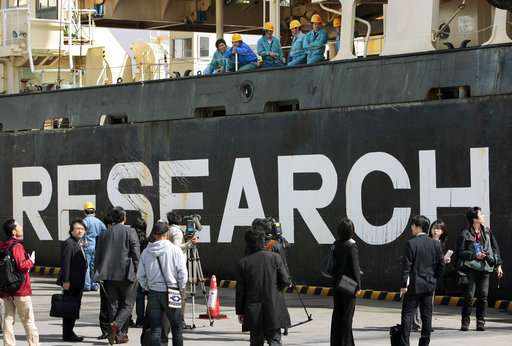 Japan to revise northern Pacific sei whaling program