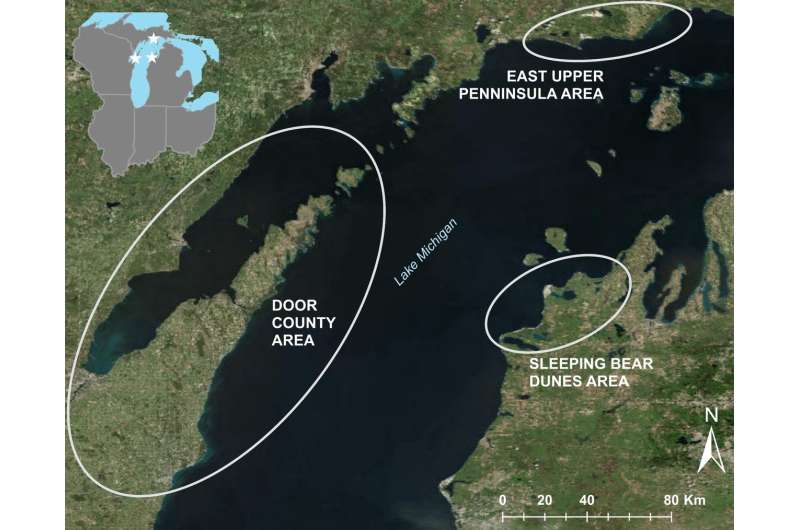 Lake Michigan waterfowl botulism deaths linked to warm waters, algae