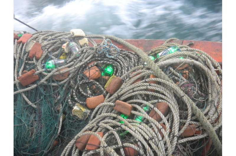 LED lights reduce seabird death toll from fishing by 85 percent, research shows