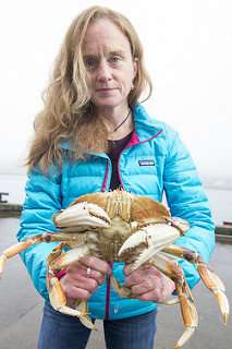 Little genetic difference among Dungeness crab from California to Washington