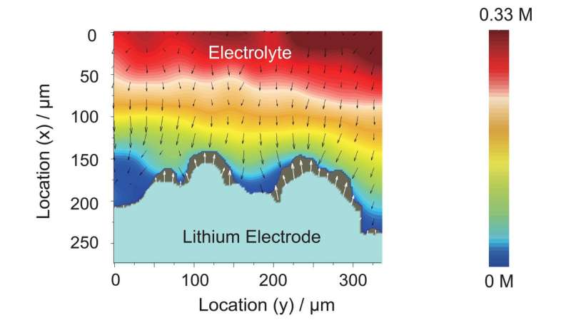 Looking inside the lithium battery's black box