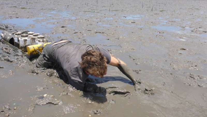 Loss of intertidal ecosystem exposes coastal communities