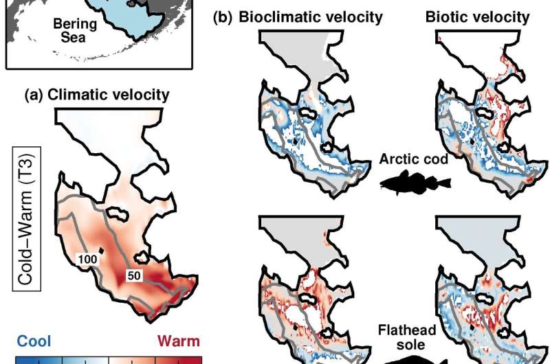 Mapping species range shifts under recent climatic changes