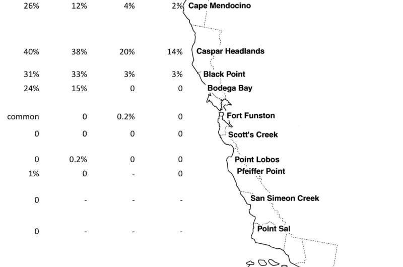 Meadow spittlebugs declining rapidly along the California coastline