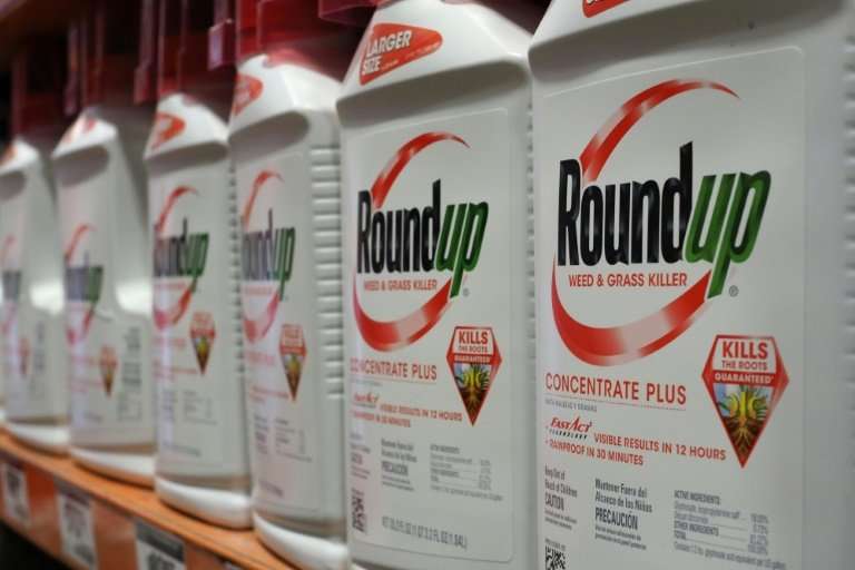 Monsanto could face massive losses if lawyers show in court that the company's herbicide Roundup caused a groundskeeper's lethal