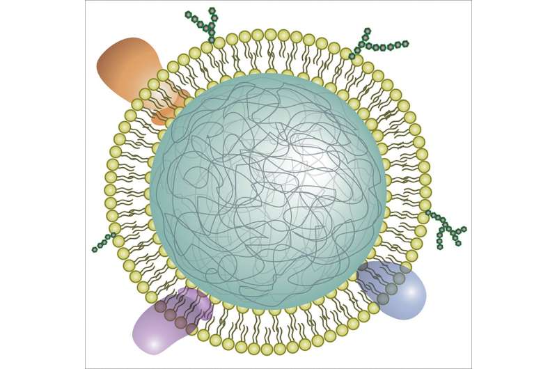 Neutrophil nanosponges soak up proteins that promote rheumatoid arthritis