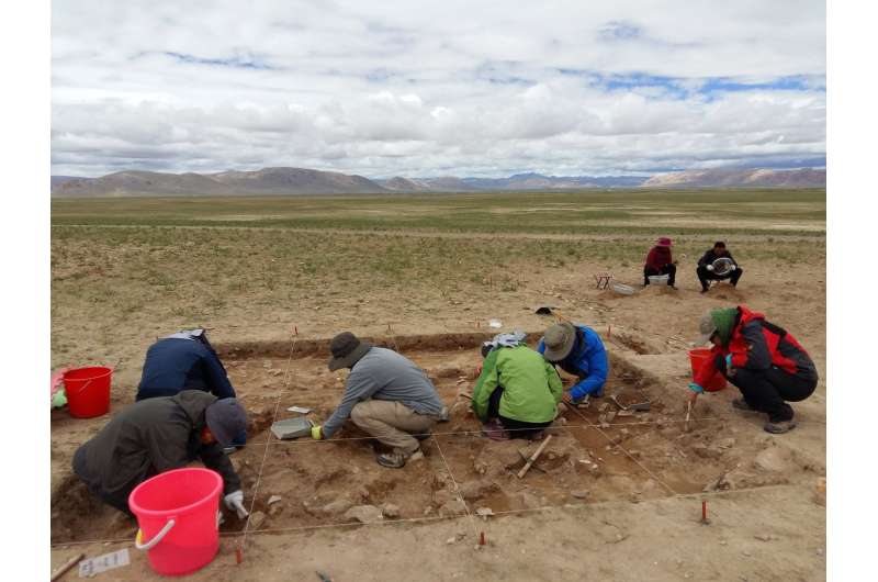 New archaeological site revises human habitation timeline on Tibetan plateau