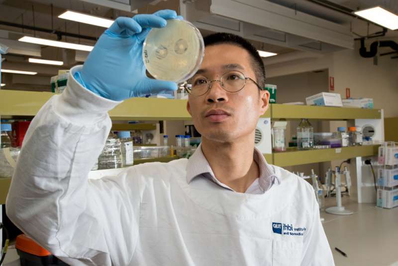 New defence against 'superbug' infections