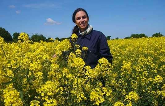 New research warns of a resistance gene at risk in oilseed rape