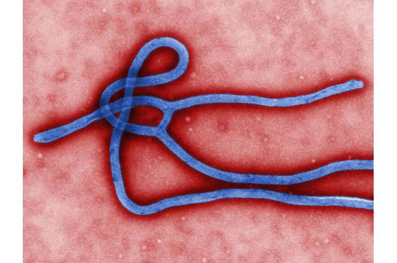 New technology for diagnosing immunity to Ebola