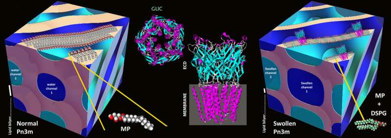 New tool for the crystallisation of proteins