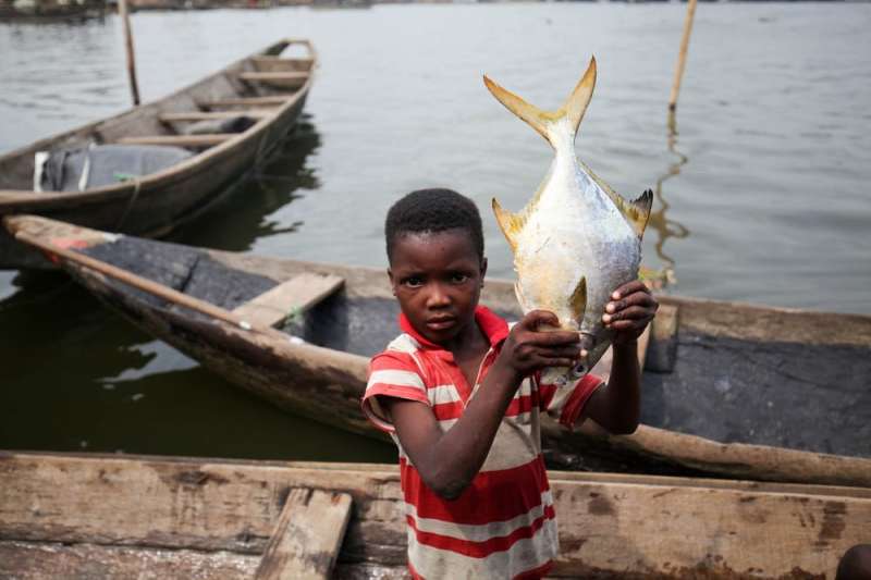 Nigeria's depleting fish stocks may pose a threat to regional security